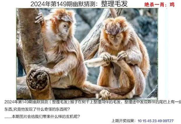 今日科普一下！澳门正版免费精准资料2023年公开,百科词条爱好_2024最新更新